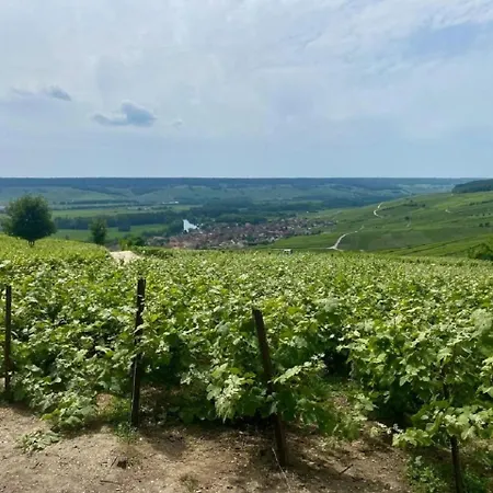 Aux Portes Du Champagne Pavant
